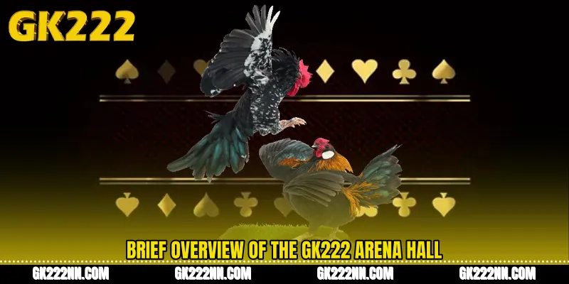 Brief Overview of the GK222 Arena Hall