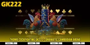Thomo Cockfighting GK222 - Dramatic Cambodian Arena