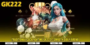 Traditional Cockfighting GK222 - Smooth Daily Arena